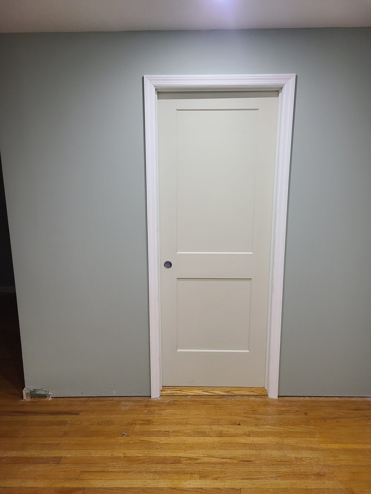 New two panel interior door and trim installed in a freshly painted sage green room